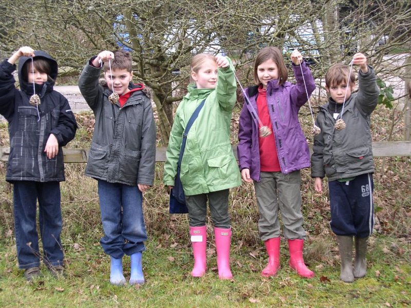 Wild about Winter at Seven Sisters Country Park